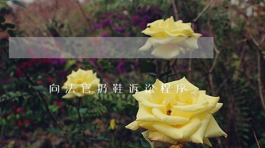 向法官扔鞋诉讼程序 向法官扔鞋诉讼程序
