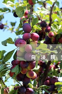 向法院交审判书怎样写申请 向法院交审判书怎样写申请