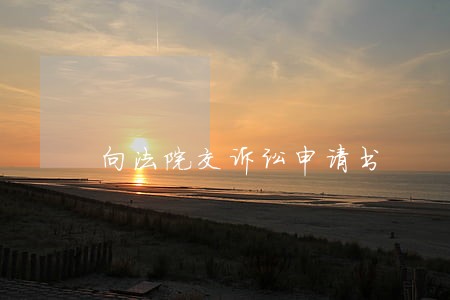 向法院交诉讼申请书 向法院交诉讼申请书