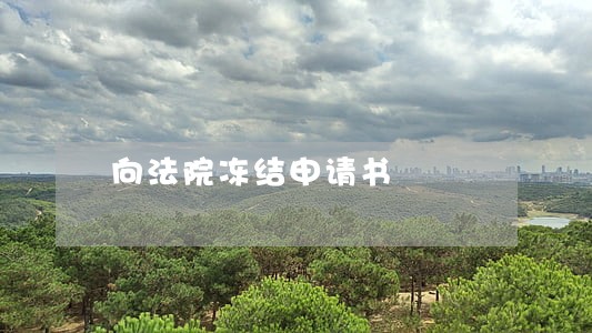 向法院冻结申请书 向法院冻结申请书