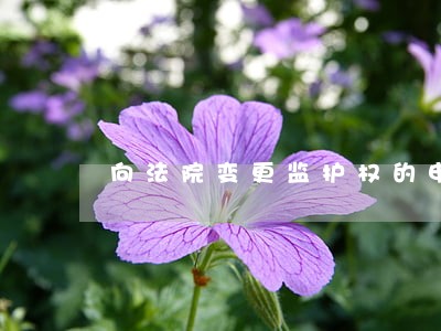 向法院变更监护权的申请书