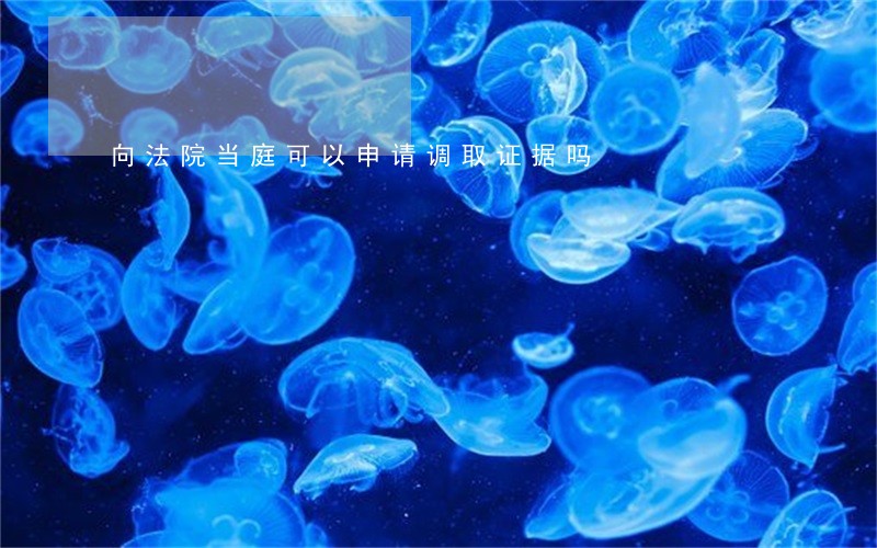 向法院当庭可以申请调取证据吗 向法院当庭可以申请调取证据吗