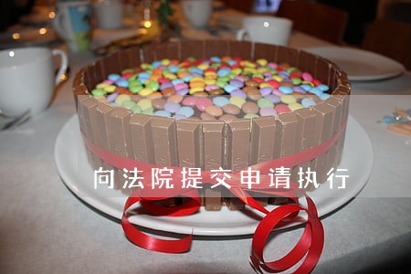 向法院提交申请执行 向法院提交申请执行