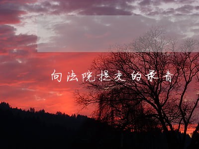 向法院提交的录音 向法院提交的录音
