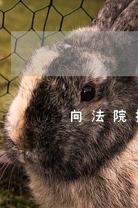 向法院提交解冻申请需多久