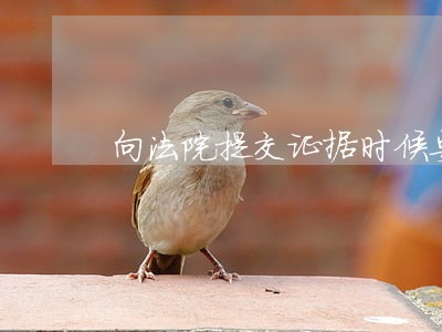 向法院提交证据时候要写什么 向法院提交证据时候要写什么
