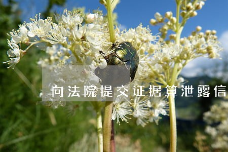 向法院提交证据算泄露信息吗 向法院提交证据算泄露信息吗