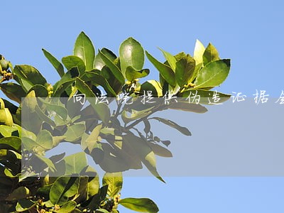 向法院提供伪造证据会应该如何样