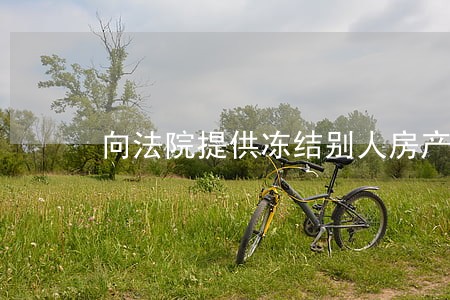 向法院提供冻结别人房产需要多钱