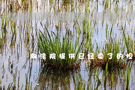 向法院提供已经卖了的担保物 向法院提供已经卖了的担保物