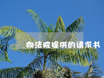 向法院提供的请求书 向法院提供的请求书