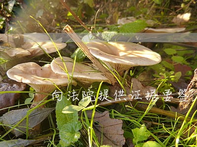 向法院提供证据要签名吗 向法院提供证据要签名吗