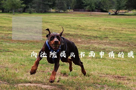 向法院提出书面申请的模板 向法院提出书面申请的模板