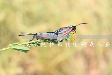 向法院提出指定残疾人监护人 向法院提出指定残疾人监护人