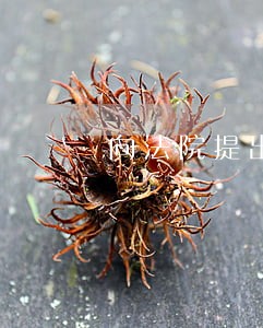 向法院提出申请强制执行后 向法院提出申请强制执行后