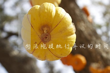 向法院提执行异议的时间 向法院提执行异议的时间