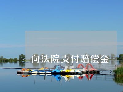 向法院支付赔偿金 向法院支付赔偿金