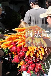 向法院申请公司解散提供担保 向法院申请公司解散提供担保