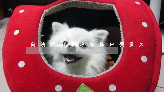向法院申请冻结帐户要多久 向法院申请冻结帐户要多久