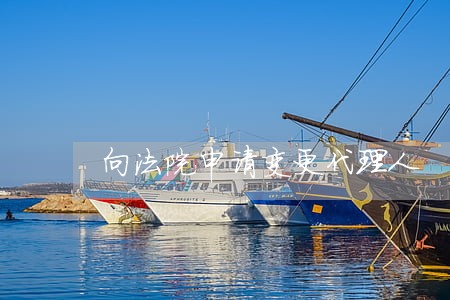 向法院申请变更代理人 向法院申请变更代理人