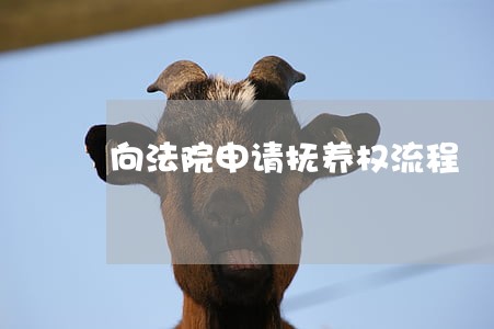 向法院申请抚养权流程 向法院申请抚养权流程