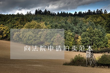 向法院申请拍卖范本