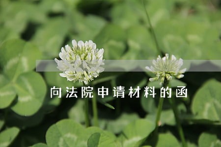 向法院申请材料的函 向法院申请材料的函