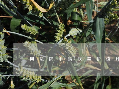 向法院申请股票价值评估 向法院申请股票价值评估