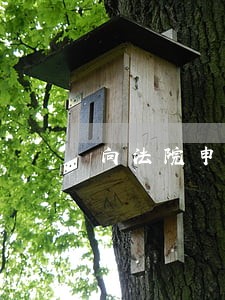 向法院申请调工资明细怎么写
