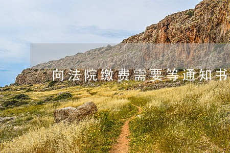 向法院缴费需要等通知书吗 向法院缴费需要等通知书吗