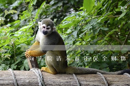 向法院请求返还保全财物申请书