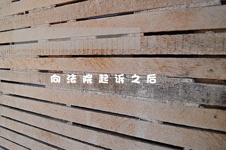 向法院起诉之后