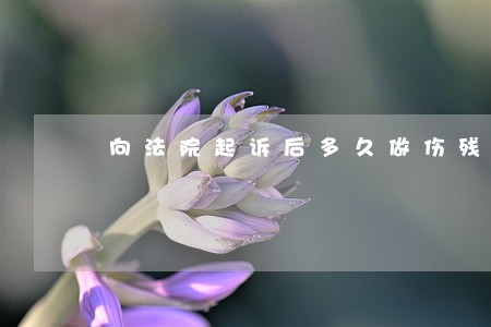 向法院起诉后多久做伤残监订 向法院起诉后多久做伤残监订