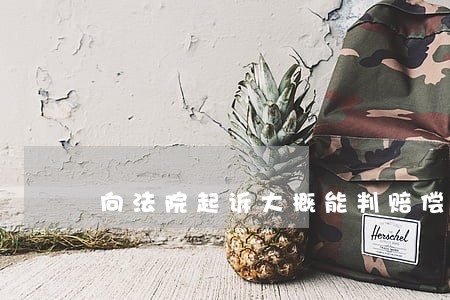 向法院起诉大概能判赔偿多少呢 向法院起诉大概能判赔偿多少呢