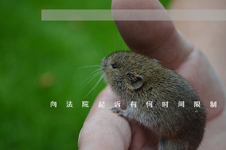 向法院起诉有何时间限制 向法院起诉有何时间限制