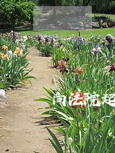 向法院起诉的情形有哪些