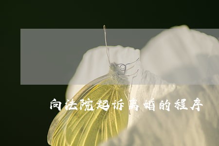 向法院起诉离婚的程序