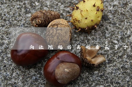 向法院起诉离婚要花多少钱