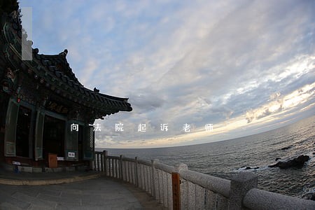 向法院起诉老师