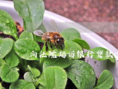 向法院起诉银行贷款逾期失信 向法院起诉银行贷款逾期失信