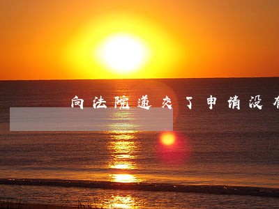 向法院递交了申请没有任何回音 向法院递交了申请没有任何回音