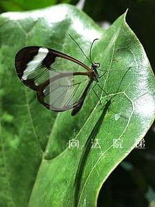 向法院递交材料手写的 向法院递交材料手写的