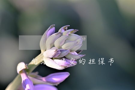向法院递交的担保书 向法院递交的担保书