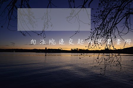 向法院递交起诉状需要哪些证据