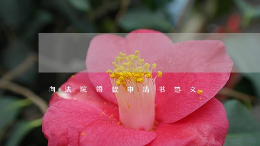 向法院领款申请书范文 向法院领款申请书范文