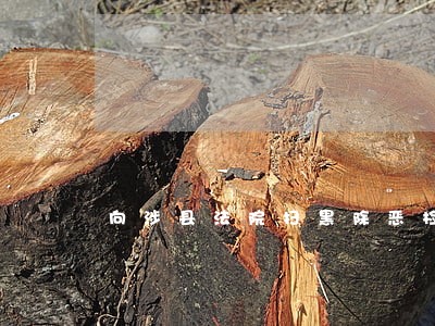 向涉县法院扫黑除恶检举控告方式 向涉县法院扫黑除恶检举控告方式