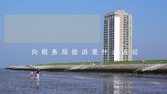 向税务局投诉是什么诉讼 向税务局投诉是什么诉讼
