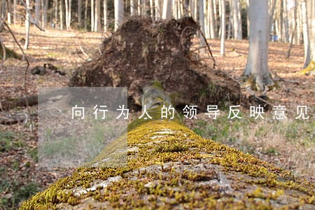 向行为人的领导反映意见违法否 向行为人的领导反映意见违法否