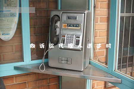 向诉讼代理人送达时 向诉讼代理人送达时