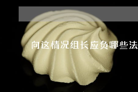 向这情况组长应负哪些法律责任 向这情况组长应负哪些法律责任